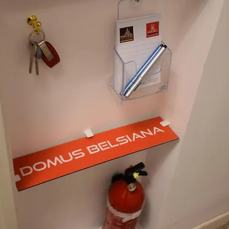 Διαμέρισμα Domus Belsiana *